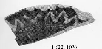 LOUTROPHOROS, FRAGMENT (ATHENIAN, RED-FIGURE)