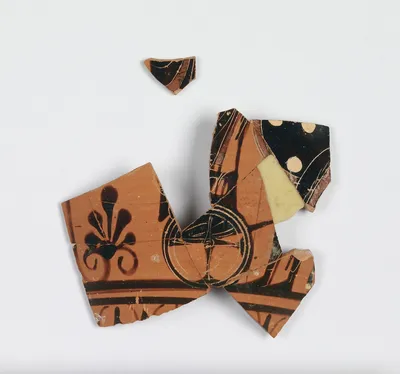 Attic Black-Figure Neck Amphora Fragments