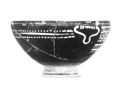 Gnathia Bowl