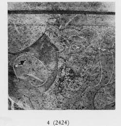 OLPE, FRAGMENTS (ETRUSCO-CORINTHIAN, BLACK-FIGURE)