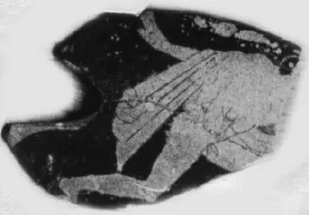 CUP, FRAGMENT (ATHENIAN, RED-FIGURE)