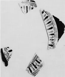 CUP, SIANA, FRAGMENTS (ATHENIAN, BLACK-FIGURE)