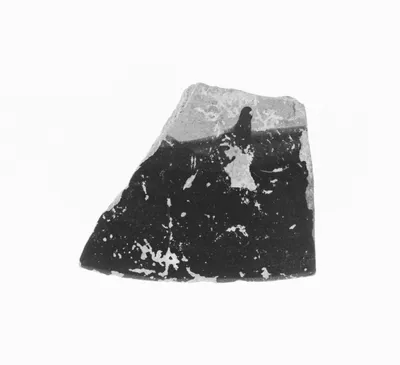 Attic Black-Figure Amphora Fragment
