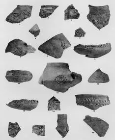 VARIOUS (SARVAS)
