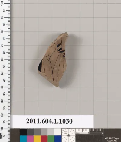 Terracotta fragment of a kylix (drinking cup)