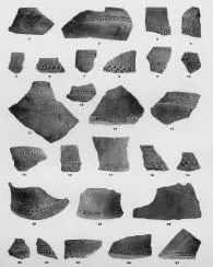 VARIOUS (VUCEDOL)