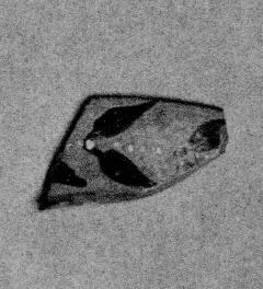 CUP, FRAGMENT (IONIAN)