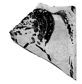 PLAQUE, FRAGMENT (CORINTHIAN, BLACK-FIGURE)