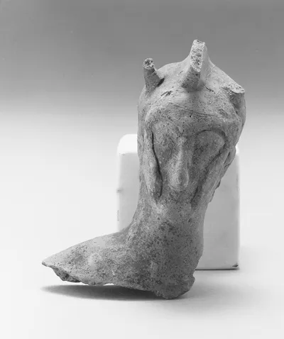 Male Head