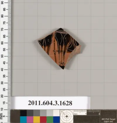 Terracotta fragment of a kylix: Band cup (drinking cup)
