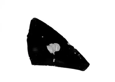 Lekythos Fragment
