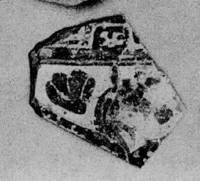 OINOCHOE, FRAGMENT (EAST GREEK, OUTLINE)