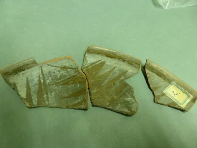 plat ; fragment