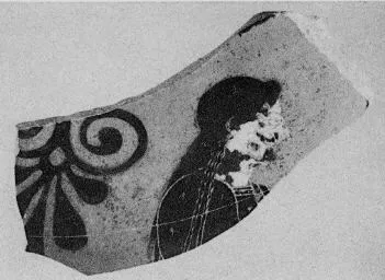 AMPHORA, NECK, FRAGMENT (ATHENIAN, BLACK-FIGURE)