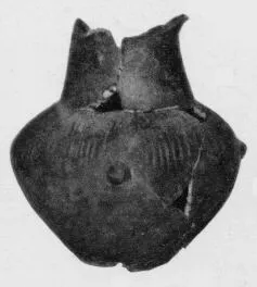 JAR (VILLA NOVA)