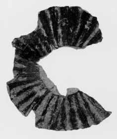 KYATHOS, FRAGMENTS (ITALIOTE, IMPASTO)
