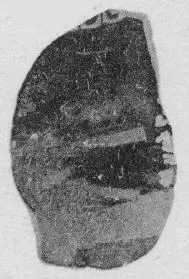 FRAGMENT (ATHENIAN, RED-FIGURE)