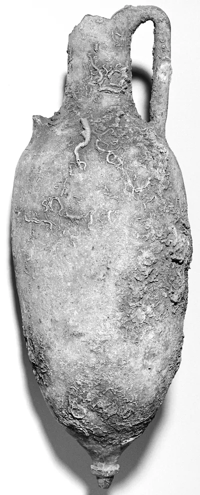 Group of Transport Amphorae (6)