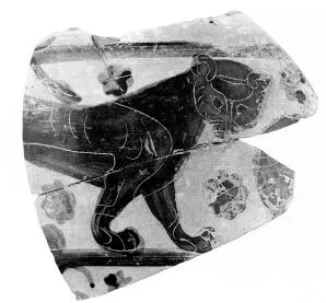 OINOCHOE (?), FRAGMENT (CORINTHIAN, BLACK-FIGURE)