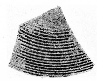 PYXIS LID, FRAGMENT (CORINTHIAN GEOMETRIC)