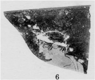 SKYPHOS, FRAGMENT (ATHENIAN, RED-FIGURE)