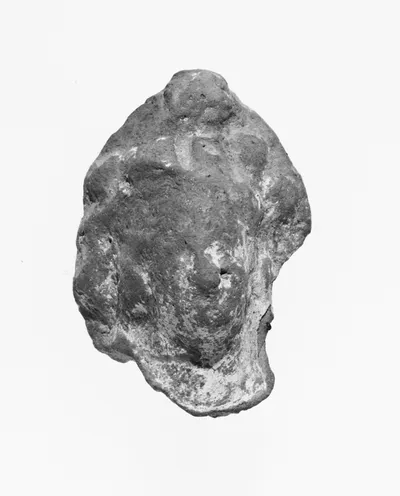 Female Head
