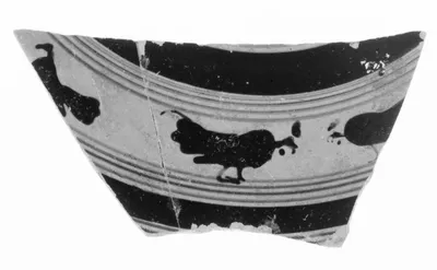 Attic Black-Figure Droop Cup Fragment (comprised of 2 Joining Fragments)