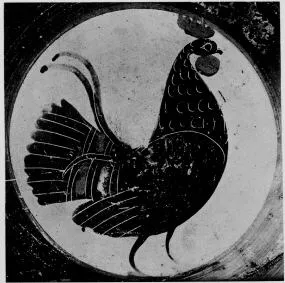 LEKANIS (BOEOTIAN, BLACK-FIGURE)