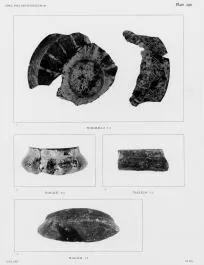 BOWL, FRAGMENTS (ITALIOTE, IMPASTO)