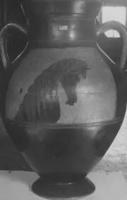 AMPHORA, BELLY, TYPE B (ATHENIAN, BLACK-FIGURE)