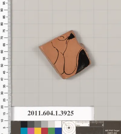 Terracotta fragment of a kylix (drinking cup)