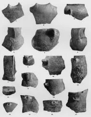 VARIOUS (VUCEDOL)