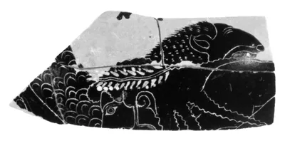 Attic Black-Figure Neck Amphora Fragment (comprised of 4 Joined Fragments)
