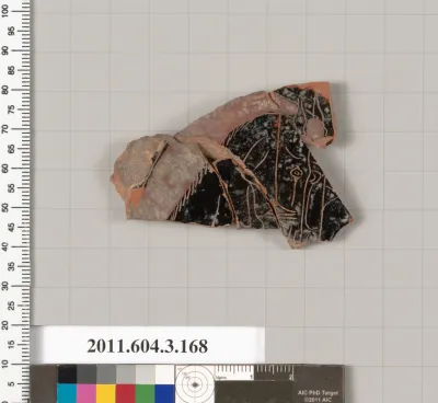 Terracotta fragment of an amphora (jar)