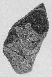 CUP, FRAGMENT (ATHENIAN, RED-FIGURE)