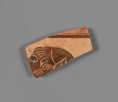 Fragment
