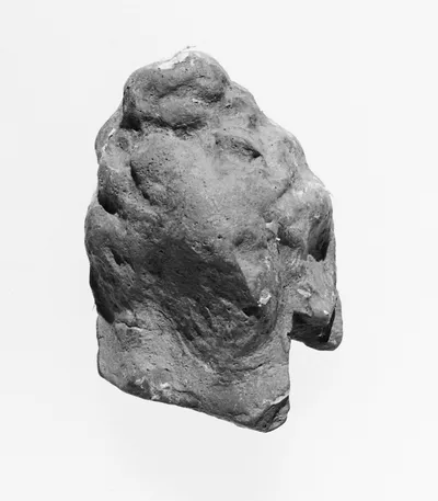 Female Head