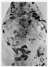 ALABASTRON (CORINTHIAN, BLACK-FIGURE)