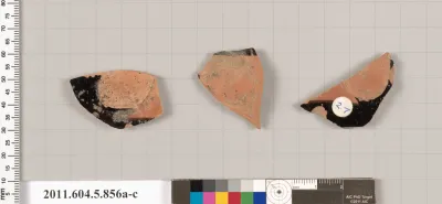 Terracotta fragments of kylikes (drinking cups)