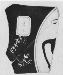 CUP, FRAGMENT (ATHENIAN, BLACK-FIGURE)