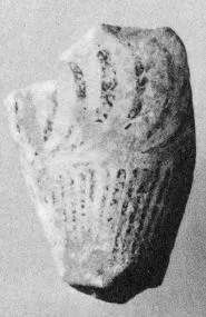 AMPHORA, NECK, FRAGMENT (EAST GREEK, FIKELLURA, OUTLINE)