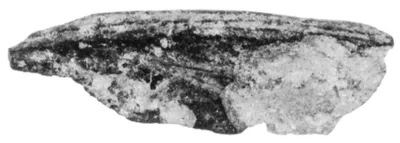 Undecorated Base Fragment