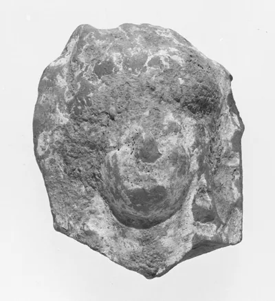 Female Head