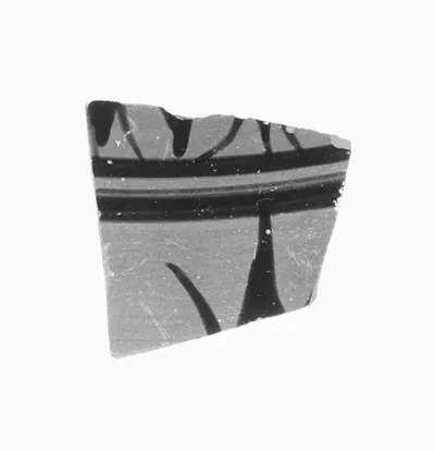 Attic Black-Figure Amphora Fragment