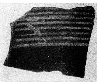 CUP, FRAGMENT (ARGIVE GEOMETRIC)