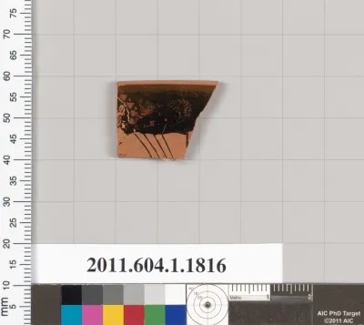 Terracotta rim fragment of a kylix (drinking cup)