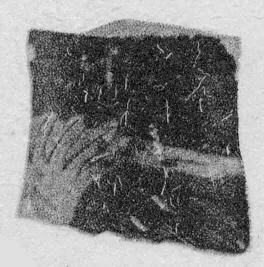 FRAGMENT (ATHENIAN, RED-FIGURE)