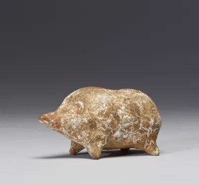 Pig