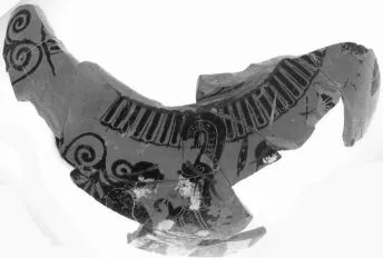 AMPHORA, NECK, FRAGMENTS (ATHENIAN, BLACK-FIGURE)