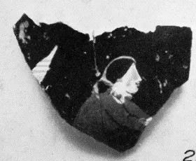 CHOUS, FRAGMENT (ATHENIAN, RED-FIGURE)